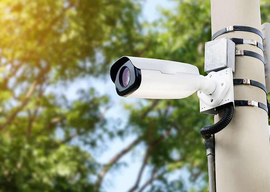 Security camera mounted on pole with trees in the background.